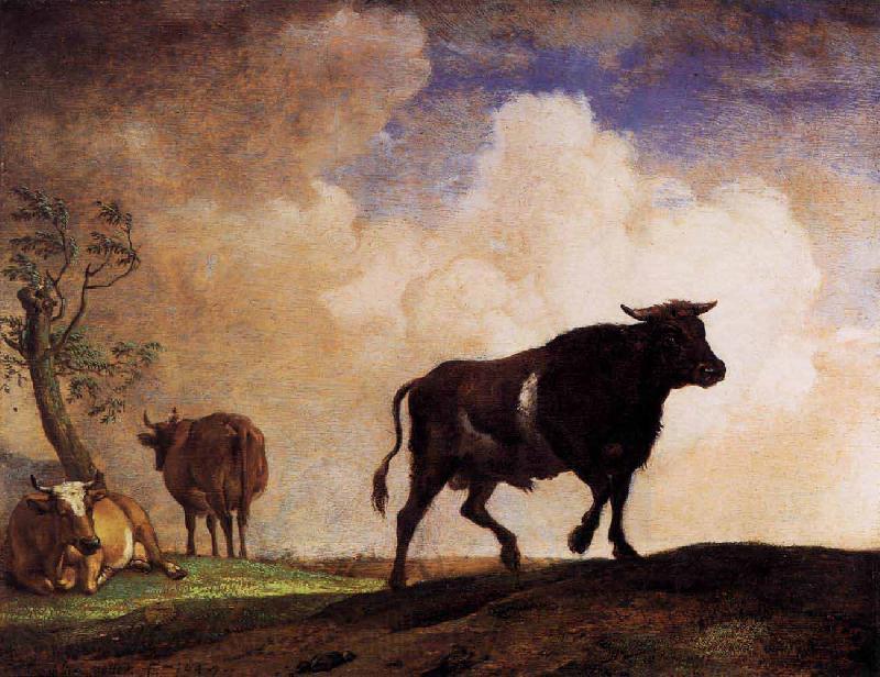 paulus potter The Bull France oil painting art